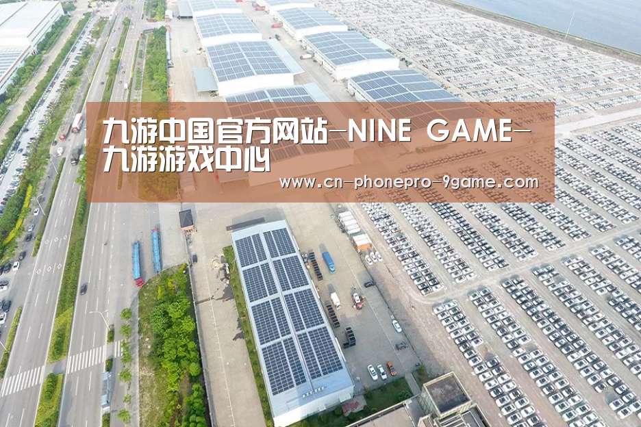 案例展示四