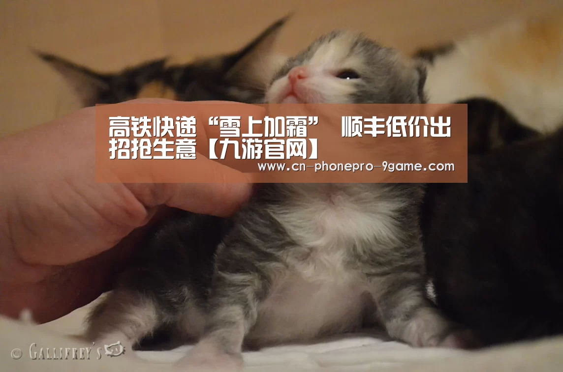 九游官网