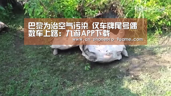 巴黎为治空气污染 仅车牌尾号偶数车上路:九游APP下载(图4) 九游APP下载