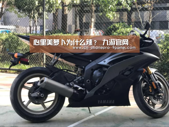 九游APP下载