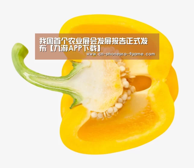 九游游戏