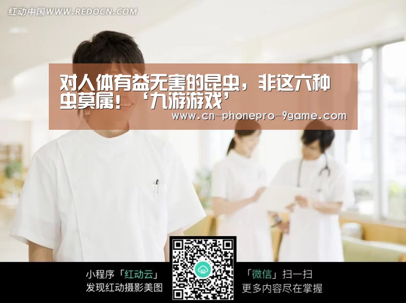 对人体有益无害的昆虫,非这六种虫莫属!‘九游游戏’(图2) 九游游戏中心