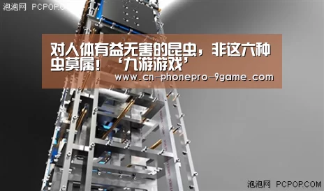对人体有益无害的昆虫,非这六种虫莫属!‘九游游戏’(图1) 九游游戏