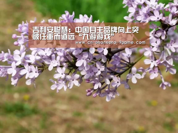 吉利安聪慧:中国自主品牌向上突破任重而道远“九游游戏”(图1) 九游游戏中心