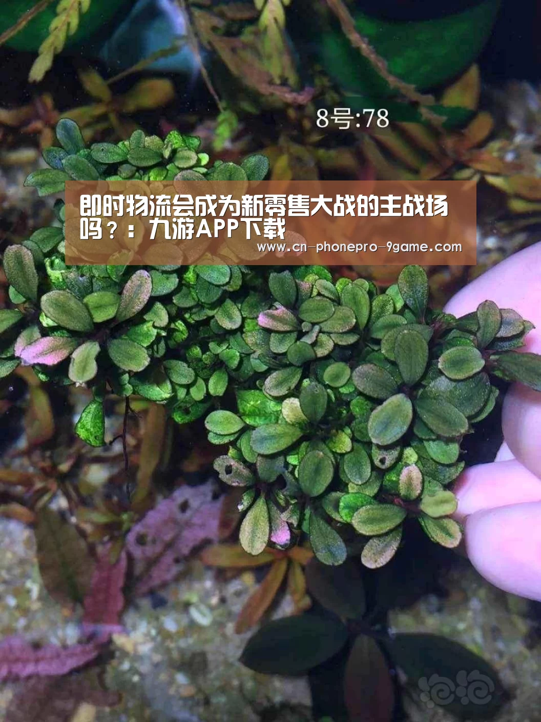 即时物流会成为新零售大战的主战场吗?:九游APP下载(图1) 九游游戏