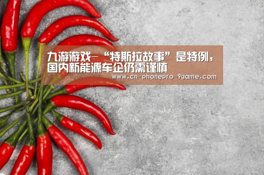 九游游戏-“特斯拉故事”是特例,国内新能源车企仍需谨慎(图2) 九游APP下载