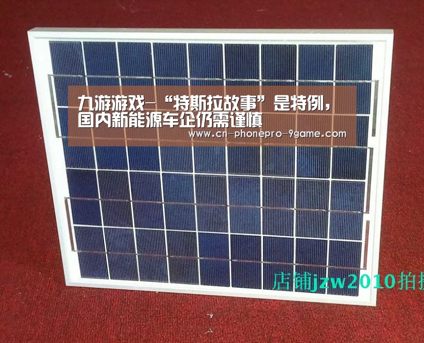 九游游戏-“特斯拉故事”是特例,国内新能源车企仍需谨慎(图1) 九游游戏