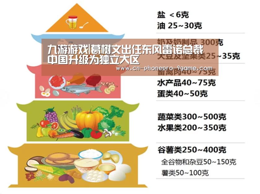 九游游戏|葛树文出任东风雷诺总裁 中国升级为独立大区(图3) 九游游戏中心