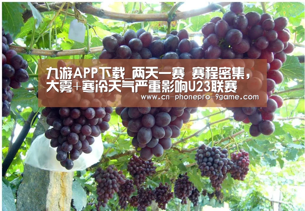 九游APP下载_两天一赛 赛程密集,大雾+寒冷天气严重影响U23联赛(图2) 九游官网