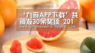 ‘九游APP下载’共颁发30余奖项 2019第五届金轩奖结果公布(图3) 九游官网