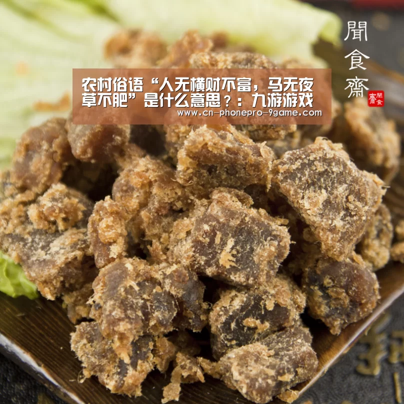 九游官网
